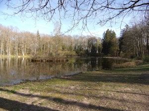 Forêt de Chénérailles