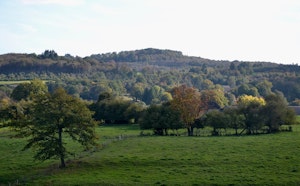 Forêt de Fayat