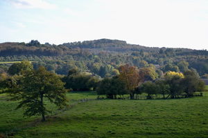 Forêt de Fayat