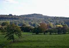 Forêt de Fayat