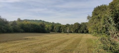 Forêt du Cap Blanc