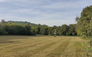 Forêt du Cap Blanc