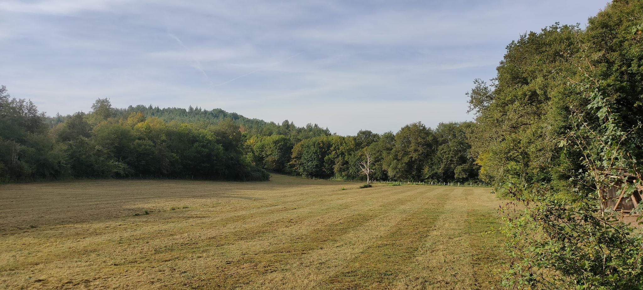 Forêt du Cap Blanc