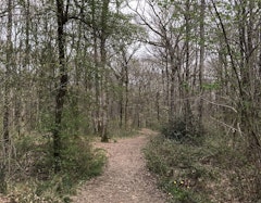 Bois du Grand Aiguillon and Loge