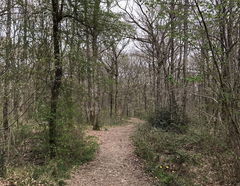 Bois du Grand Aiguillon and Loge