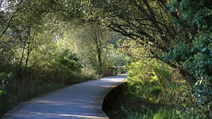 Prés Salés Ouest de la Teste