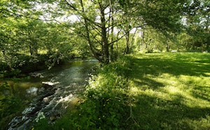 Grand Parc de Lusignan