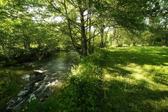 Grand Parc de Lusignan