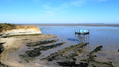 Île Madame
