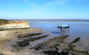 Île Madame