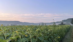 Hamlets of Penne-d'Agenais 