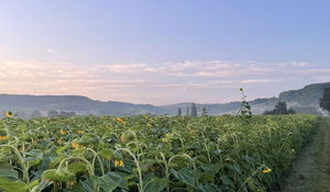 Hameaux de Penne-d'Agenais