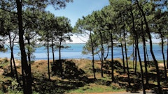 La Coubre