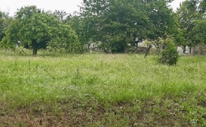 Around Usseau