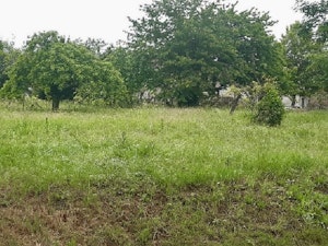 Autour d'Usseau