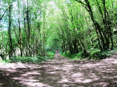 La Vallée Sèche