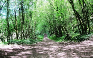La Vallée Sèche