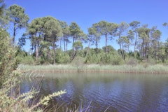 Lacs d'Hostens