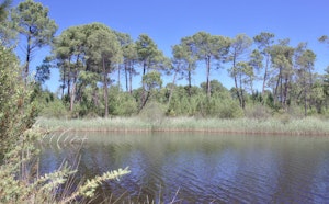 Lacs d'Hostens