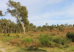 Lagunes de Seignosse