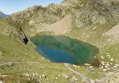 Le Lurien