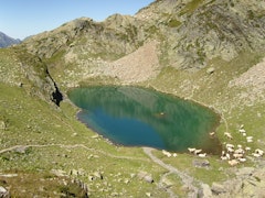 Le Lurien