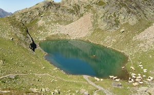 Le Lurien