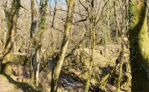 Around Saint-Martial-de-Gimel