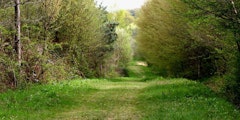 Les Rochers de Bord