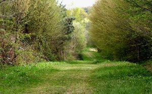 Les Rochers de Bord