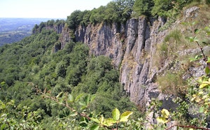 Loop of Orgues