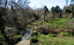 Moulin de Binaou