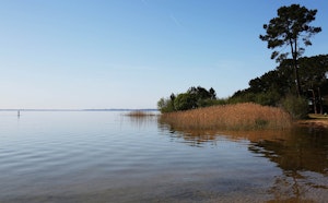 Lac de Cazaux-Sanguinet depuis Sanguinet