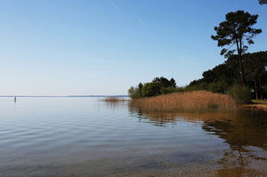 Lac de Cazaux-Sanguinet depuis Sanguinet