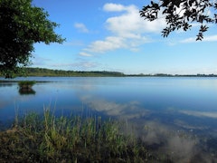 Petit Étang de Biscarrosse