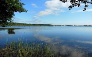 Petit Étang de Biscarrosse