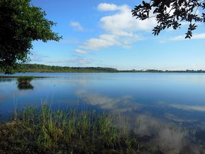 Petit Étang de Biscarrosse