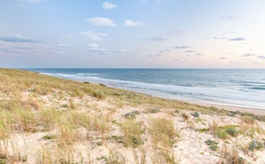 Pointe aux Chevaux