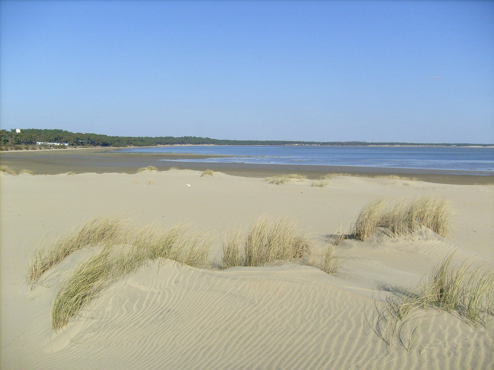 Pointe de la Coubre