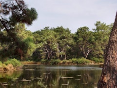 Réservoirs de Piraillan