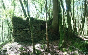 Ruines de Patel