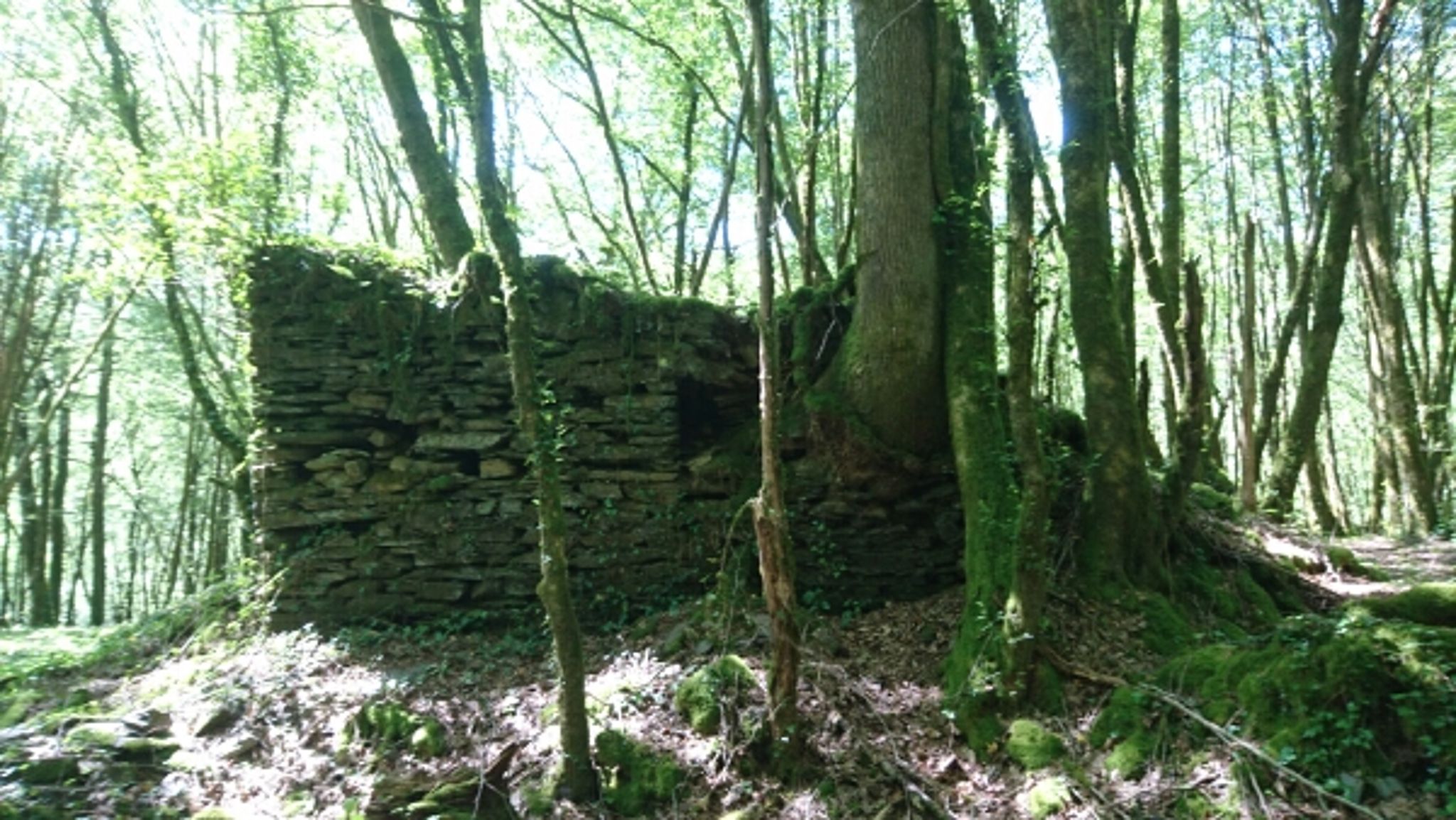 Ruines de Patel