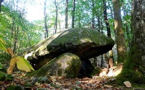 Sentier des puys