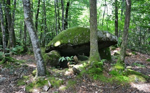 Sentier du Dolmen