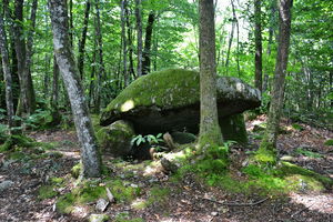 Sentier du dolmen