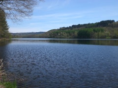 Short Loop of Lac de Saint-Pardoux 