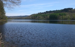 Short Loop of Lac de Saint-Pardoux