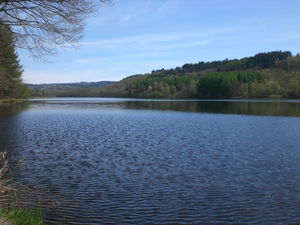 Petite boucle du lac de Saint-Pardoux