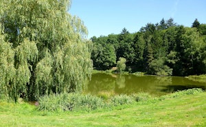Tour of Étang de Courtille