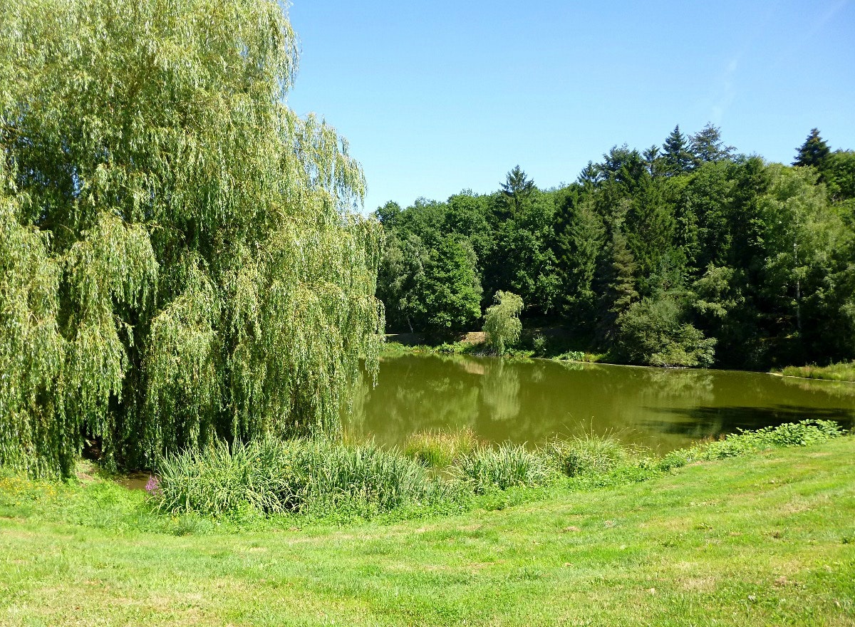 Tour of Étang de Courtille